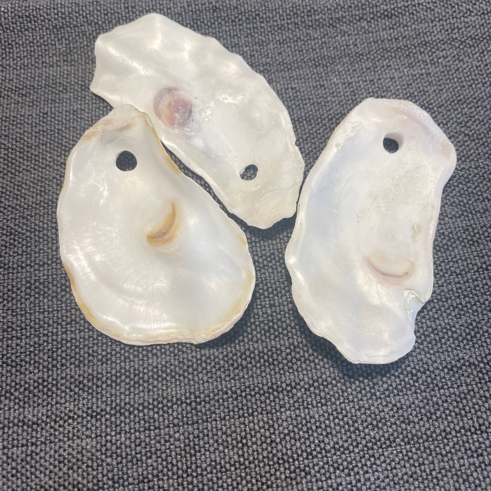 10 Drilled Medium (3”-4”) Flat Oyster Shells for Crafts